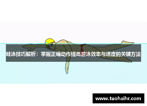 蛙泳技巧解析：掌握正确动作提高游泳效率与速度的关键方法