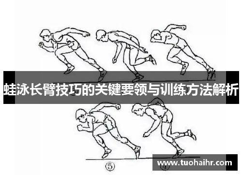 蛙泳长臂技巧的关键要领与训练方法解析