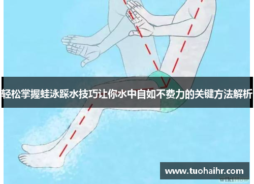 轻松掌握蛙泳踩水技巧让你水中自如不费力的关键方法解析